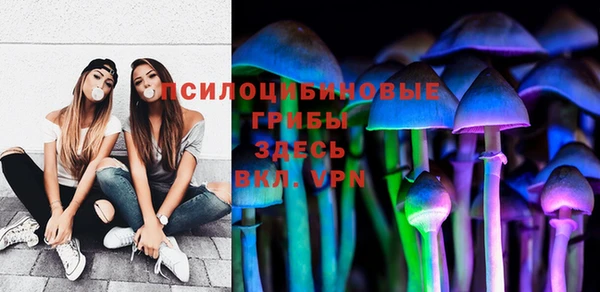 стафф Абдулино