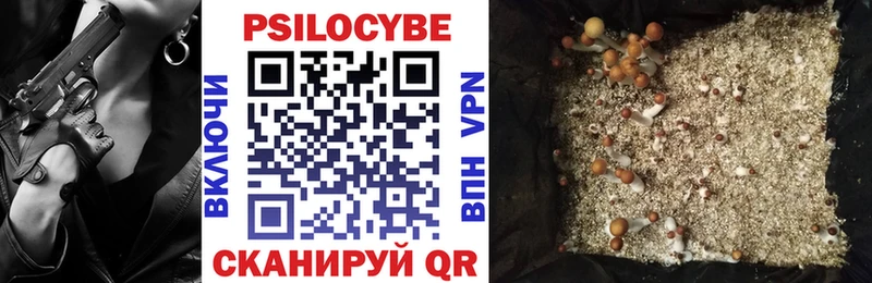 Псилоцибиновые грибы Psilocybe  Александров 
